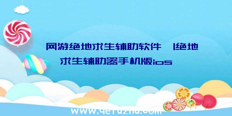 「网游绝地求生辅助软件」|绝地求生辅助器手机版ios